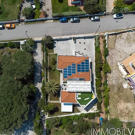 Wlofts 13 By Klodge Daire *